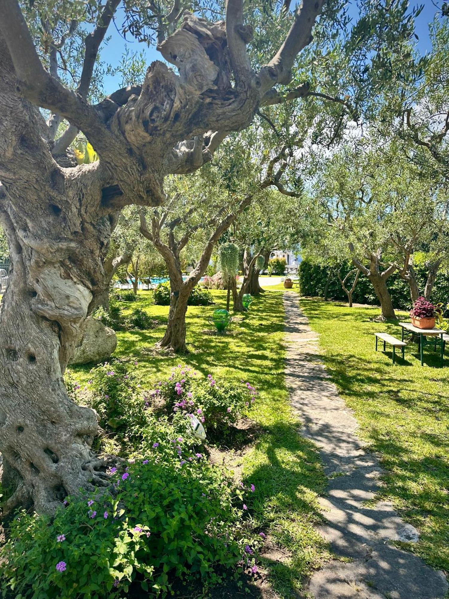 Hotel Boutique Ischia Zewnętrze zdjęcie