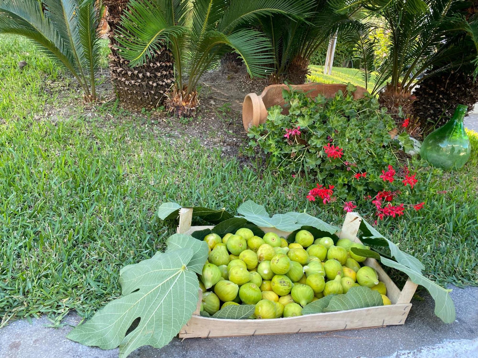 Hotel Boutique Ischia Zewnętrze zdjęcie